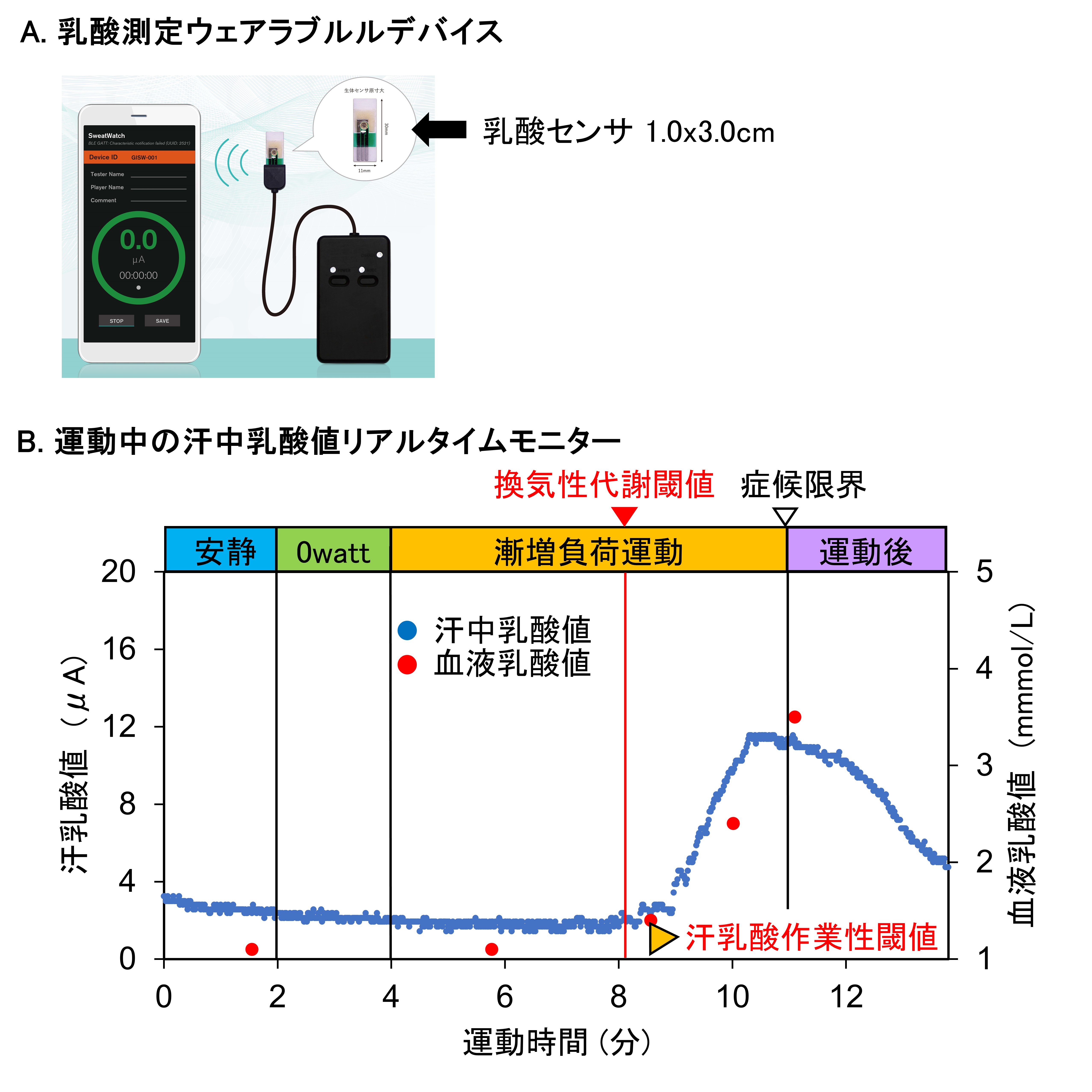 乳酸測定デバイスと汗中乳酸値